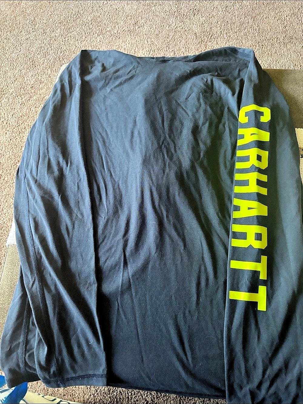 Carhartt Force Relaxed Fit Lightweight Graphic Hooded T-Shirt Black Small